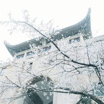 模拟巴士修理游戏免费版下载